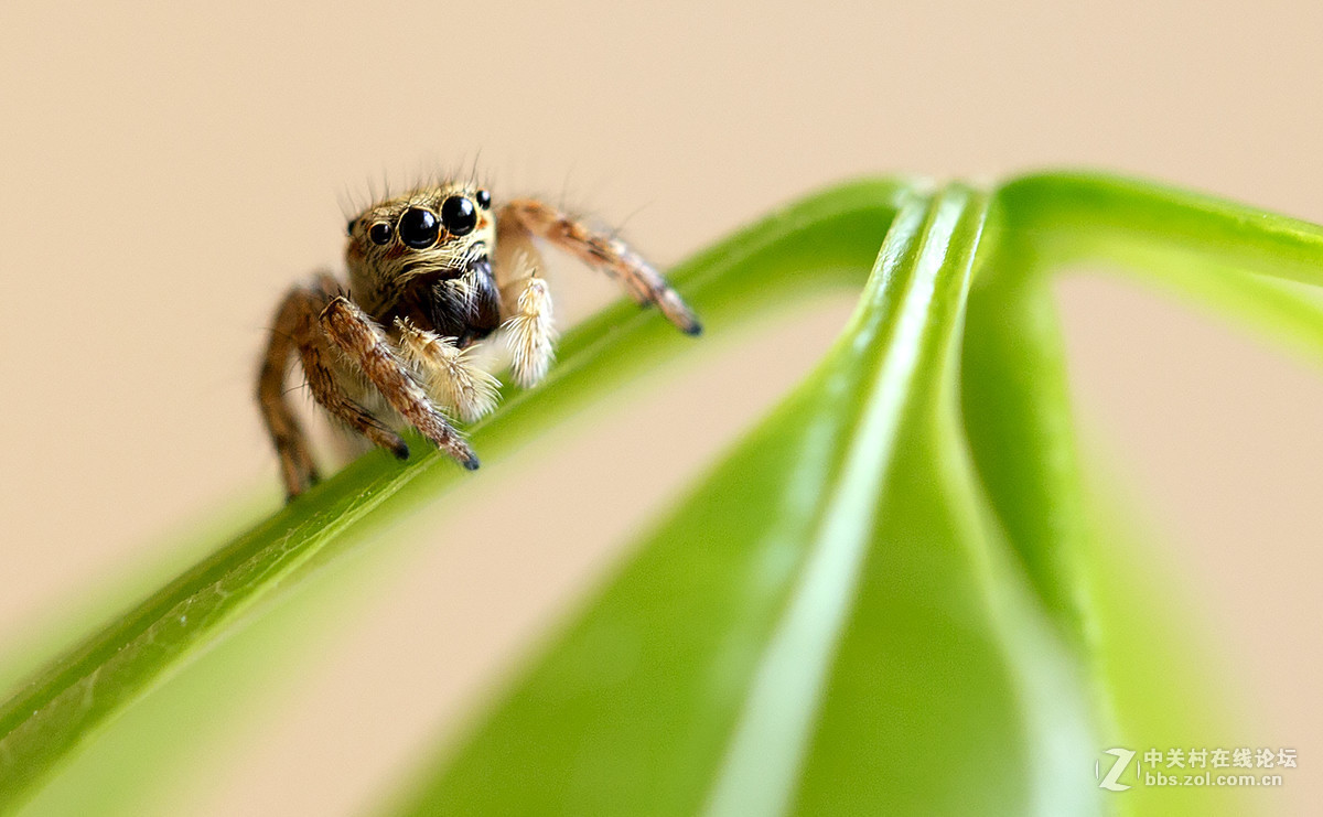 #版主坐堂#【天津版块】2016年8-10月金钻精华汇总