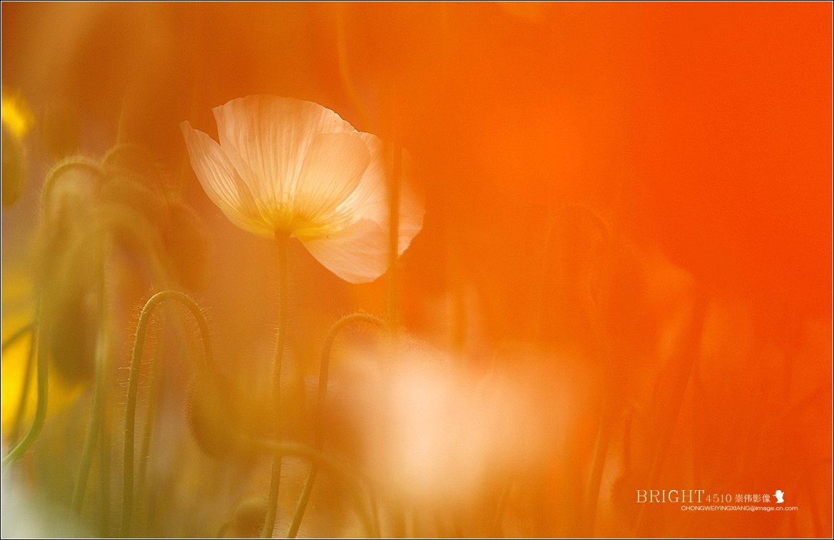 #版主坐堂#【天津版块】2016年8-10月金钻精华汇总