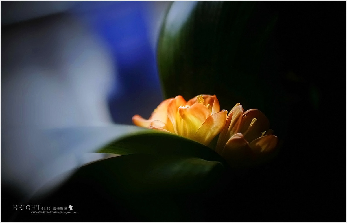 #版主坐堂#【天津版块】2016年8-10月金钻精华汇总