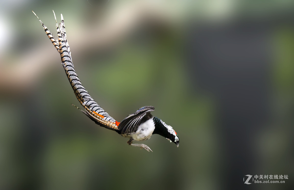 #版主坐堂#【天津版块】2016年8-10月金钻精华汇总