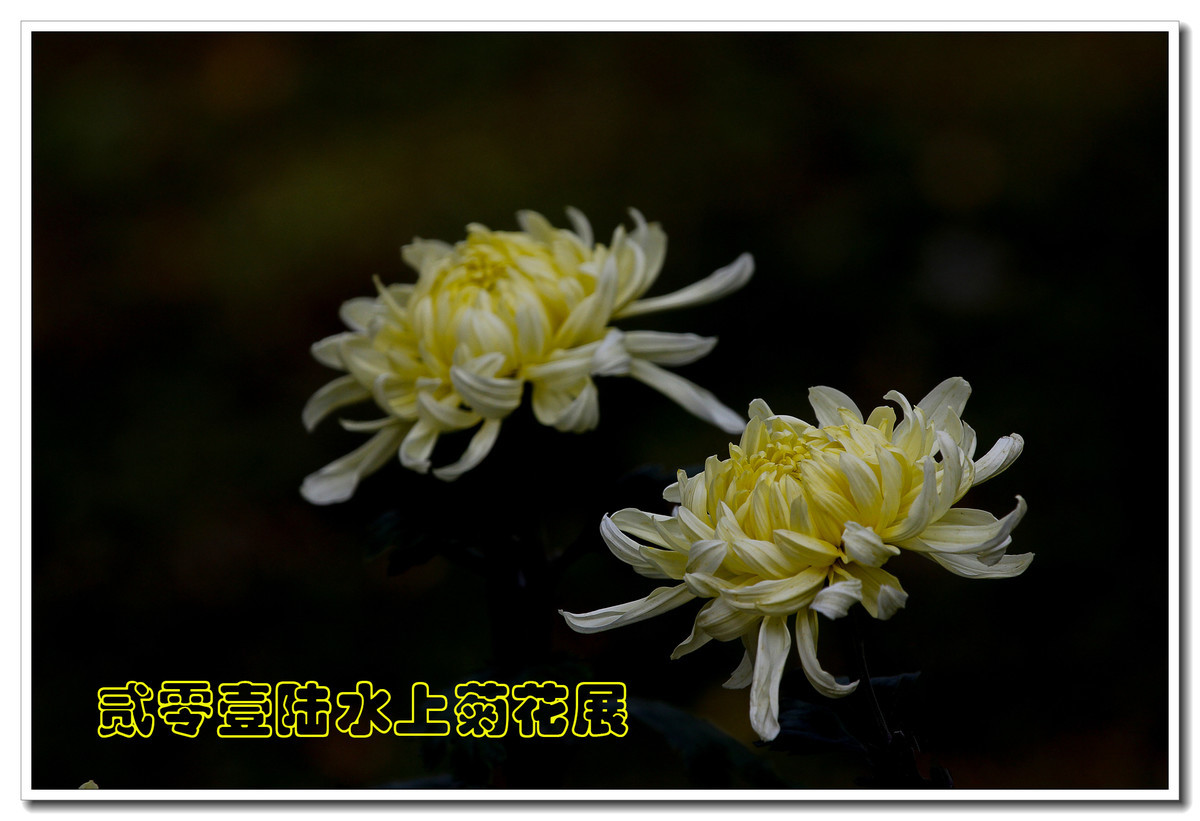 #版主坐堂#【天津版块】2016年8-10月金钻精华汇总