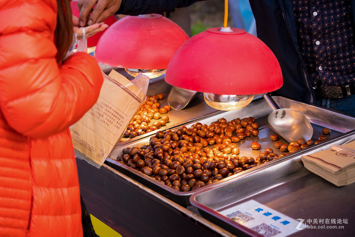 奉贤庄行菜花节掠影1