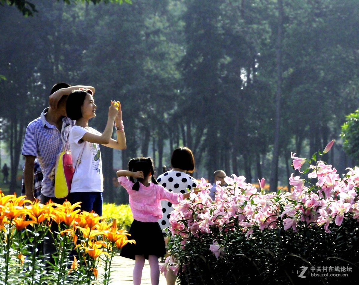 石象湖花卉艳丽