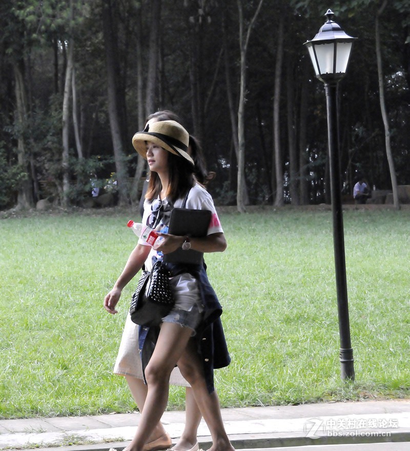 石象湖花卉艳丽