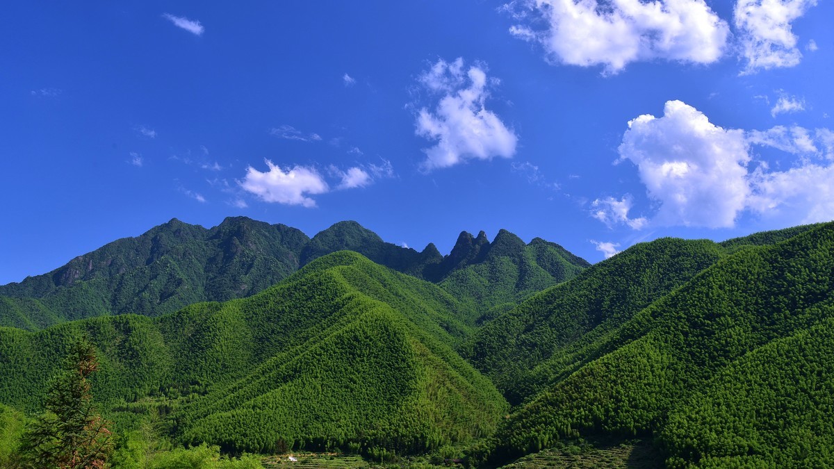 江西省铅山县自然风景摄影（武夷山镇岑原村）