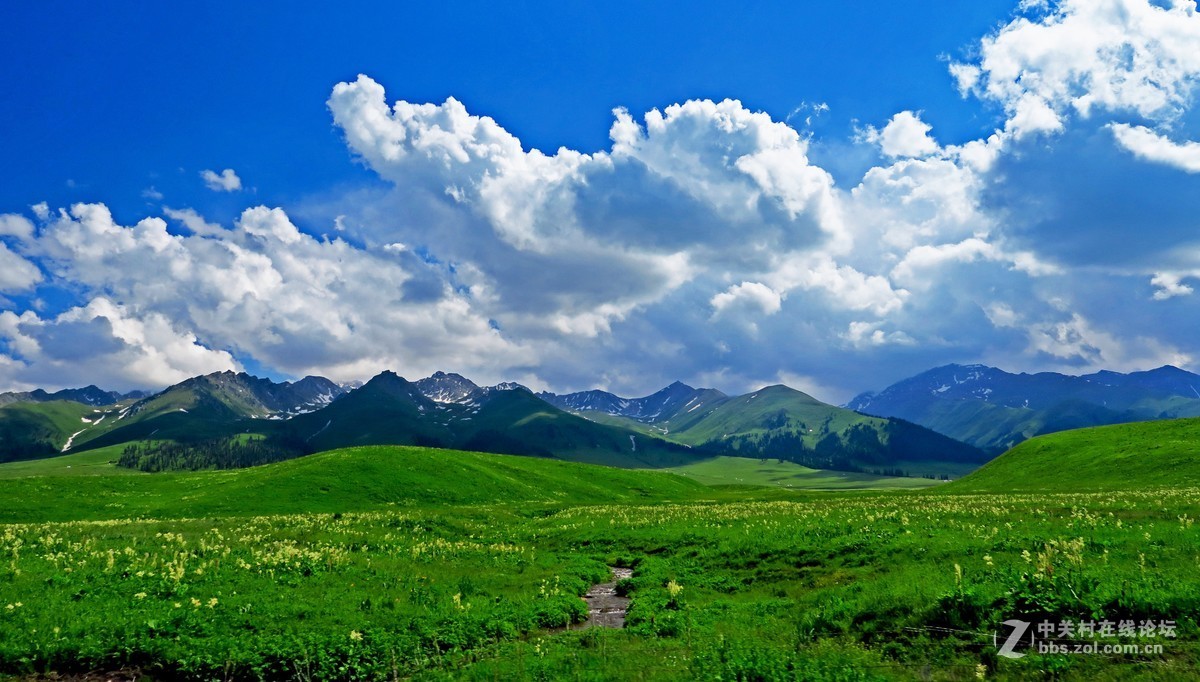 大美新疆新源县那拉提草原二