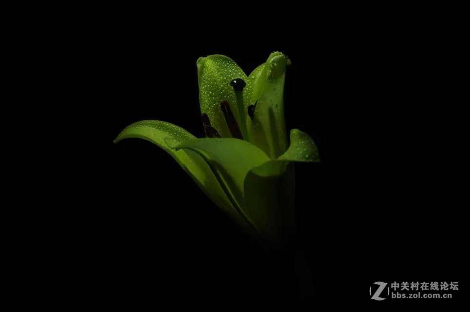 拍花花开始啦O(∩_∩)O~