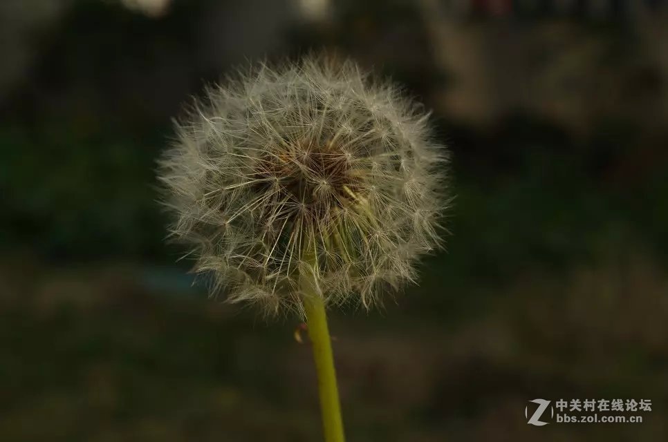 拍花花开始啦O(∩_∩)O~