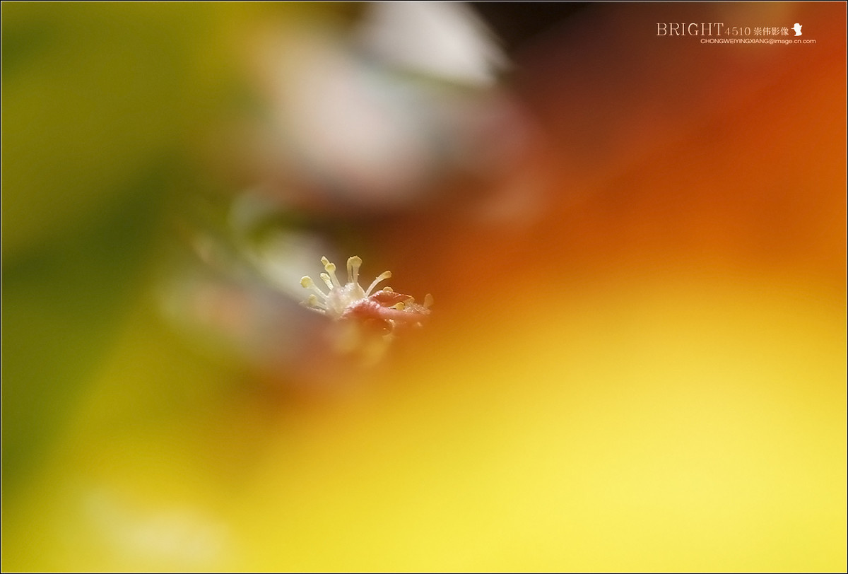 #版主坐堂#【天津版块】2016年8-10月金钻精华汇总