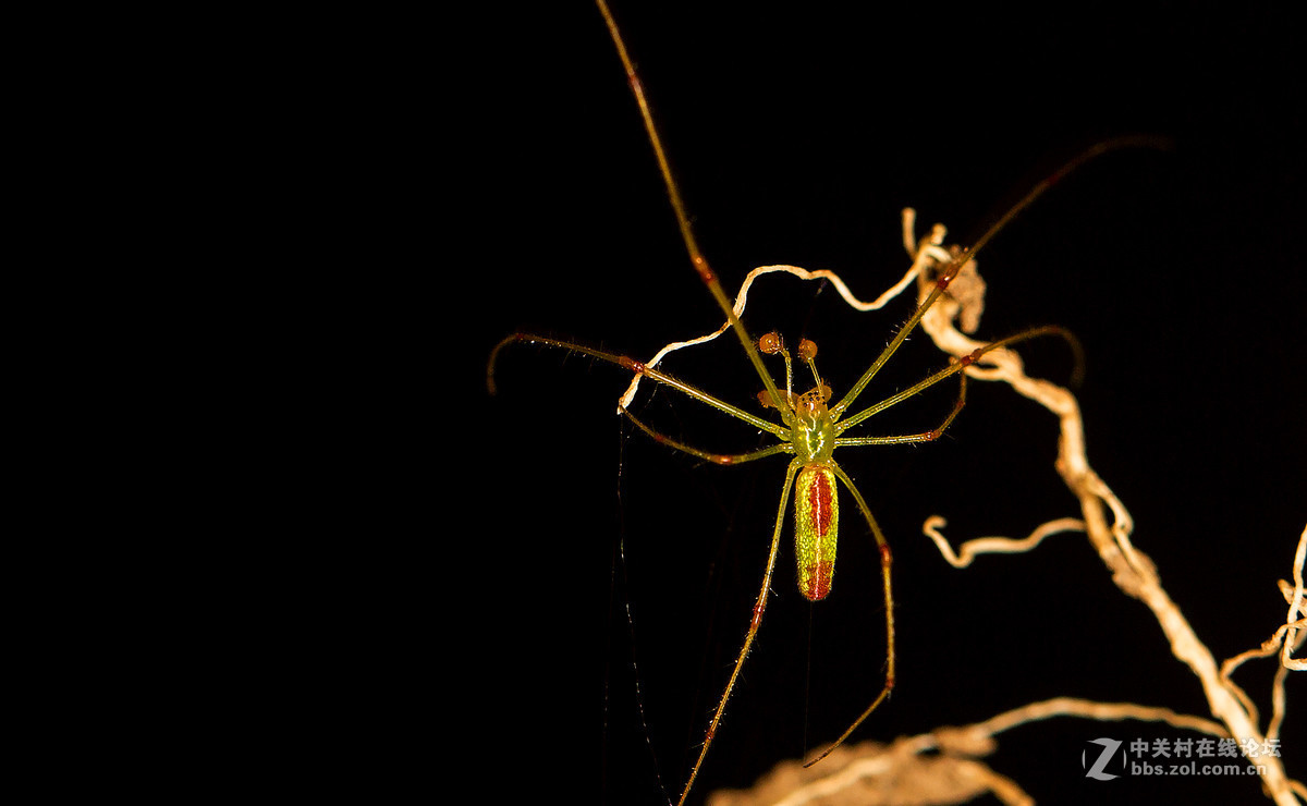 #版主坐堂#【天津版块】2016年8-10月金钻精华汇总