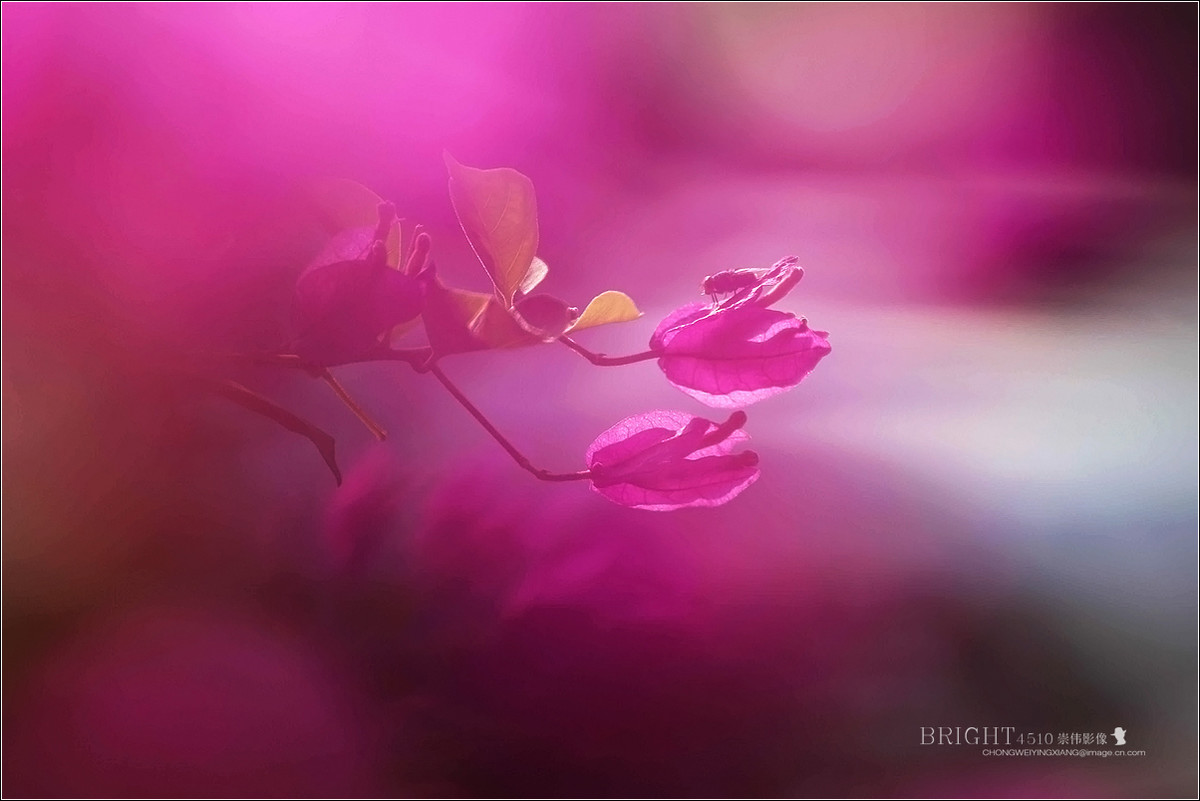 #版主坐堂#【天津版块】2016年8-10月金钻精华汇总