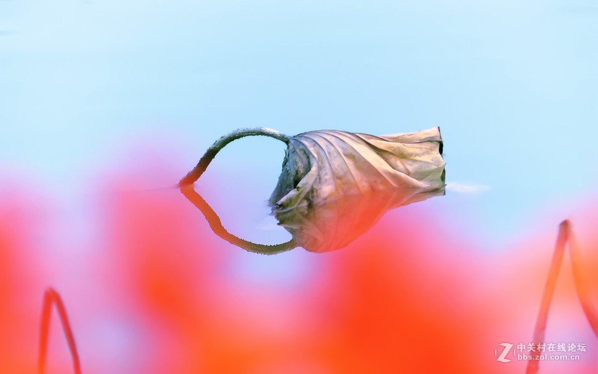 #版主坐堂#【天津版块】2016年8-10月金钻精华汇总