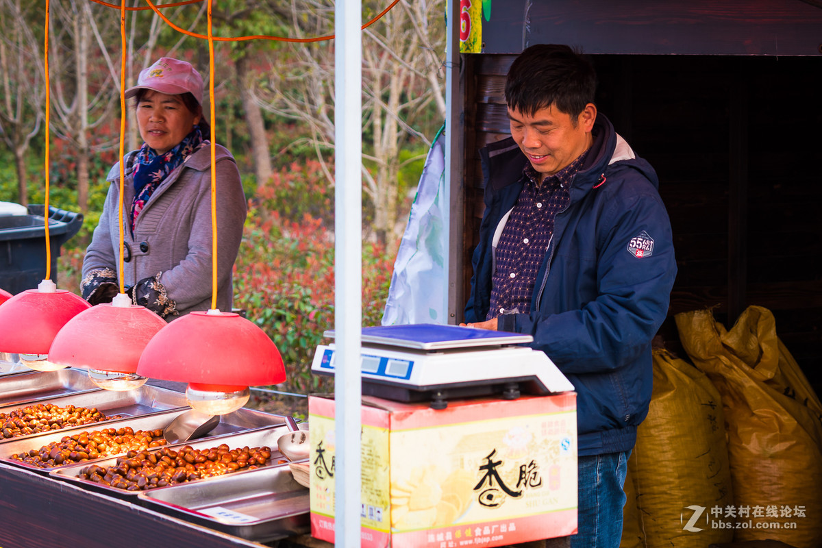 奉贤庄行菜花节掠影1