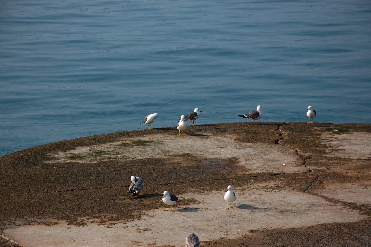 徒步星海湾天气有雾上篇