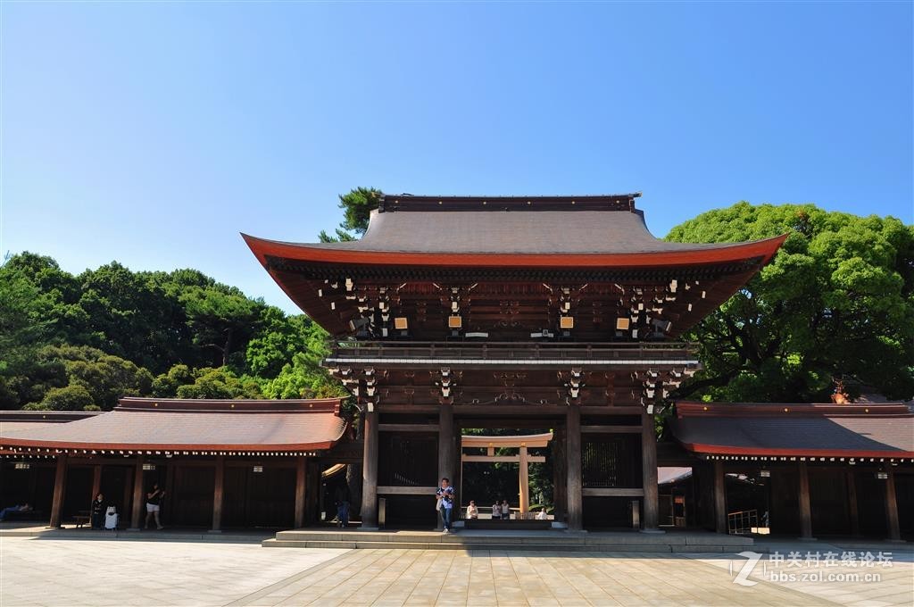 东京明治神宫-中关村在线摄影论坛