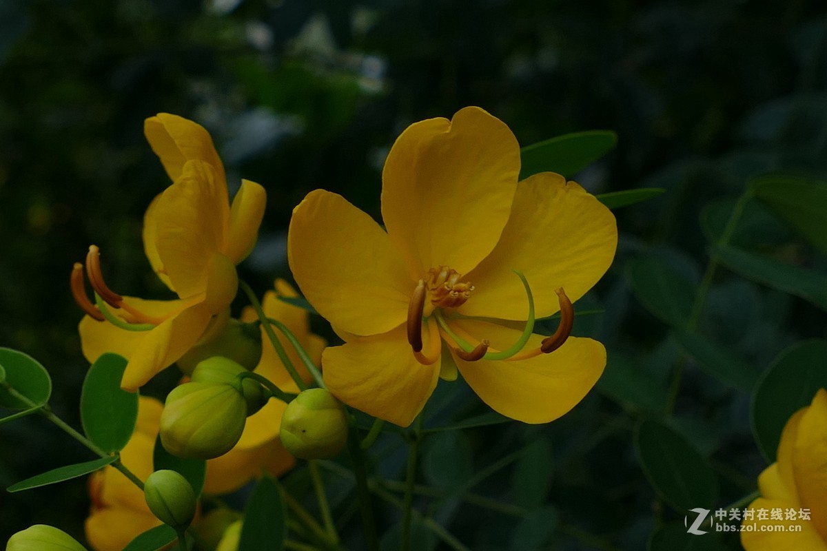 试机V-LUX  之 一路走来一路拍