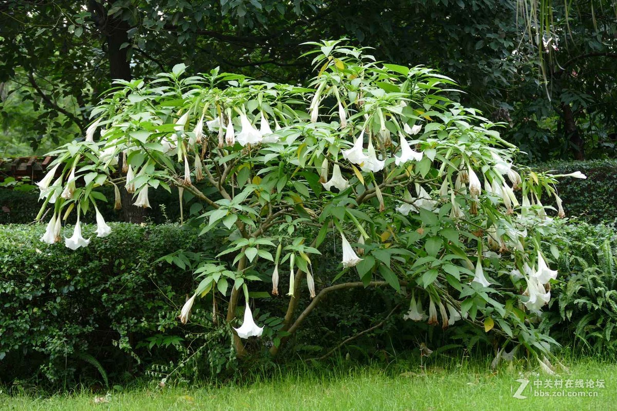 试机V-LUX  之 一路走来一路拍