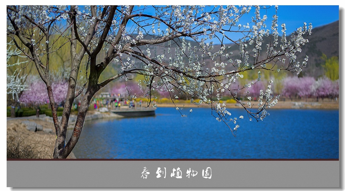 春色--植物园