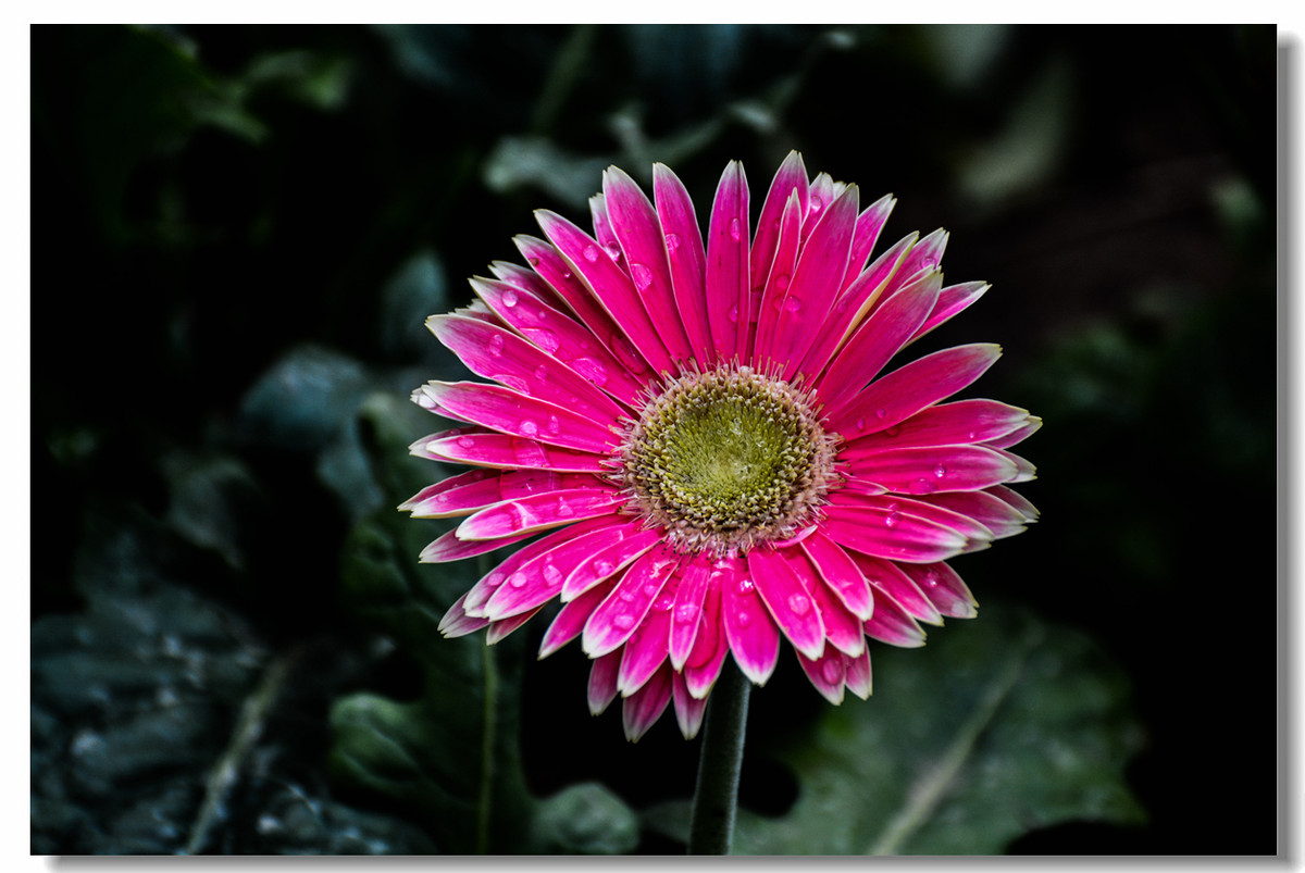 一组『汾河湾花境』送给大家迟到的祝福