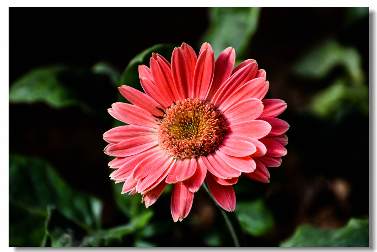 一组『汾河湾花境』送给大家迟到的祝福