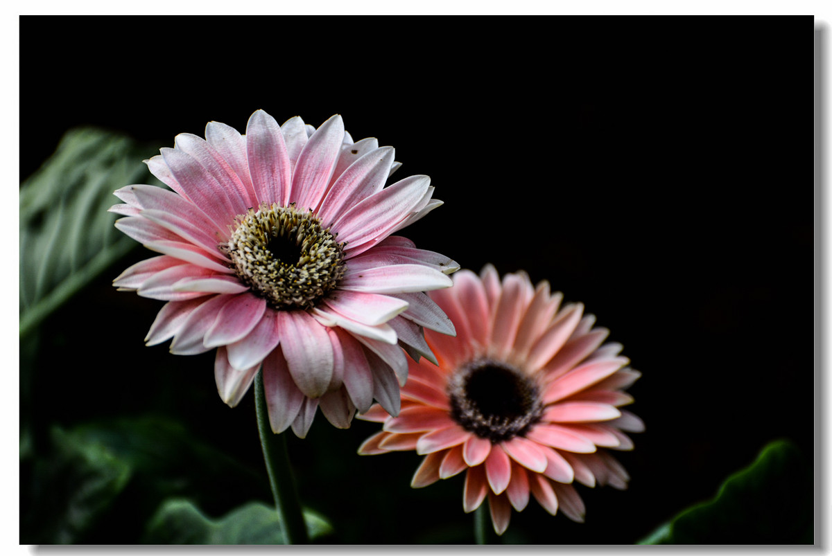 一组『汾河湾花境』送给大家迟到的祝福