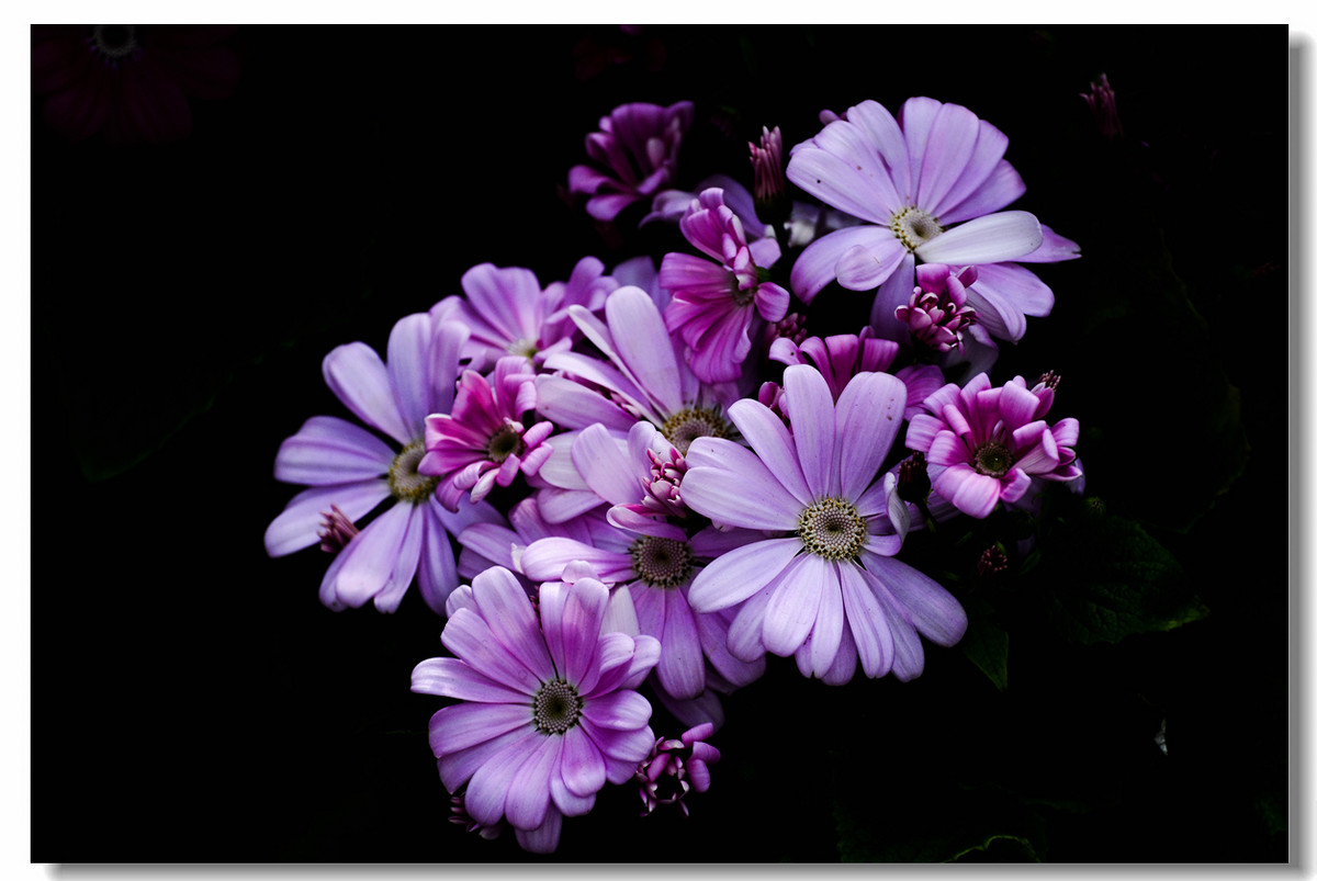 一组『汾河湾花境』送给大家迟到的祝福