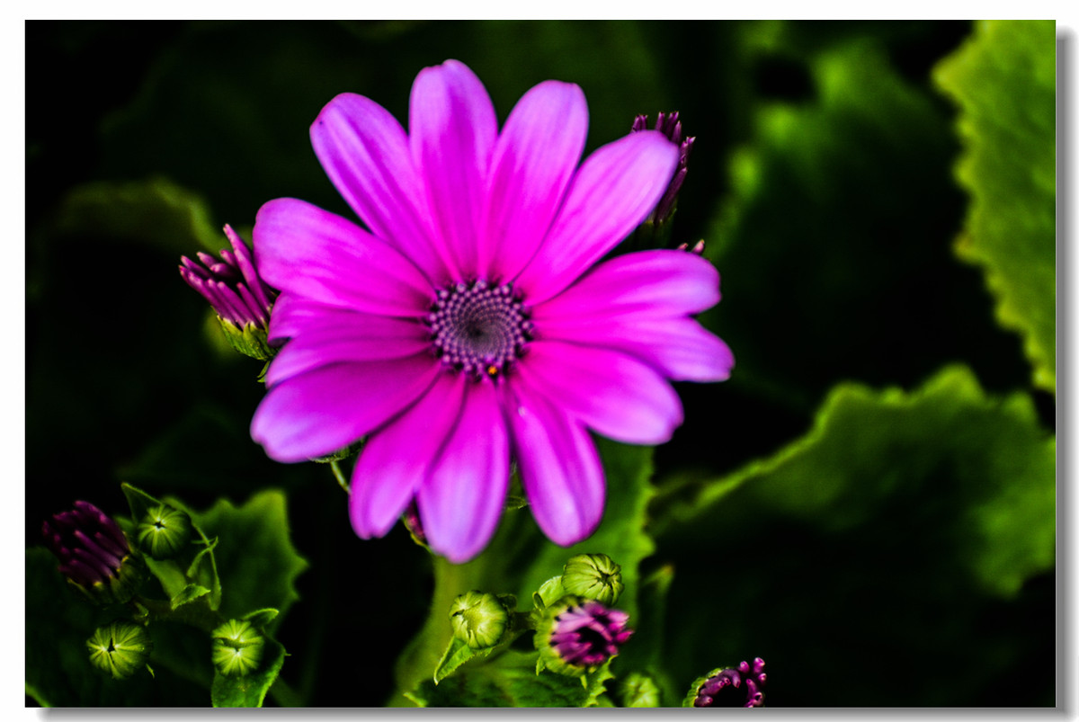 一组『汾河湾花境』送给大家迟到的祝福