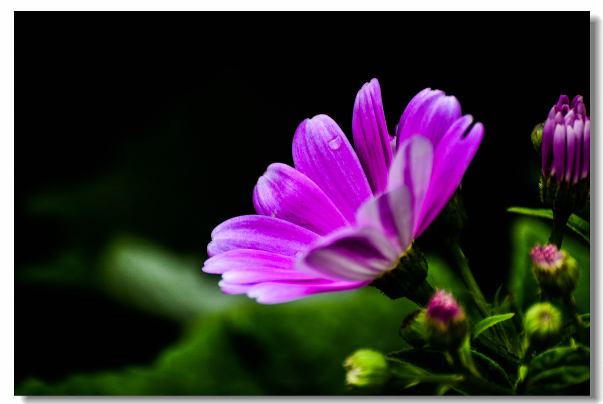 一组『汾河湾花境』送给大家迟到的祝福
