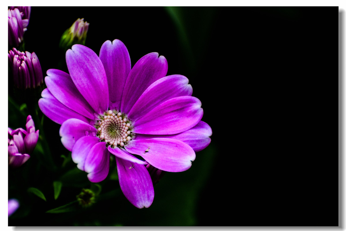 一组『汾河湾花境』送给大家迟到的祝福