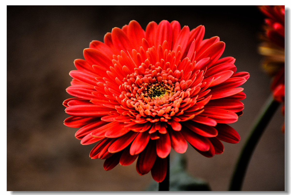 一组『汾河湾花境』送给大家迟到的祝福