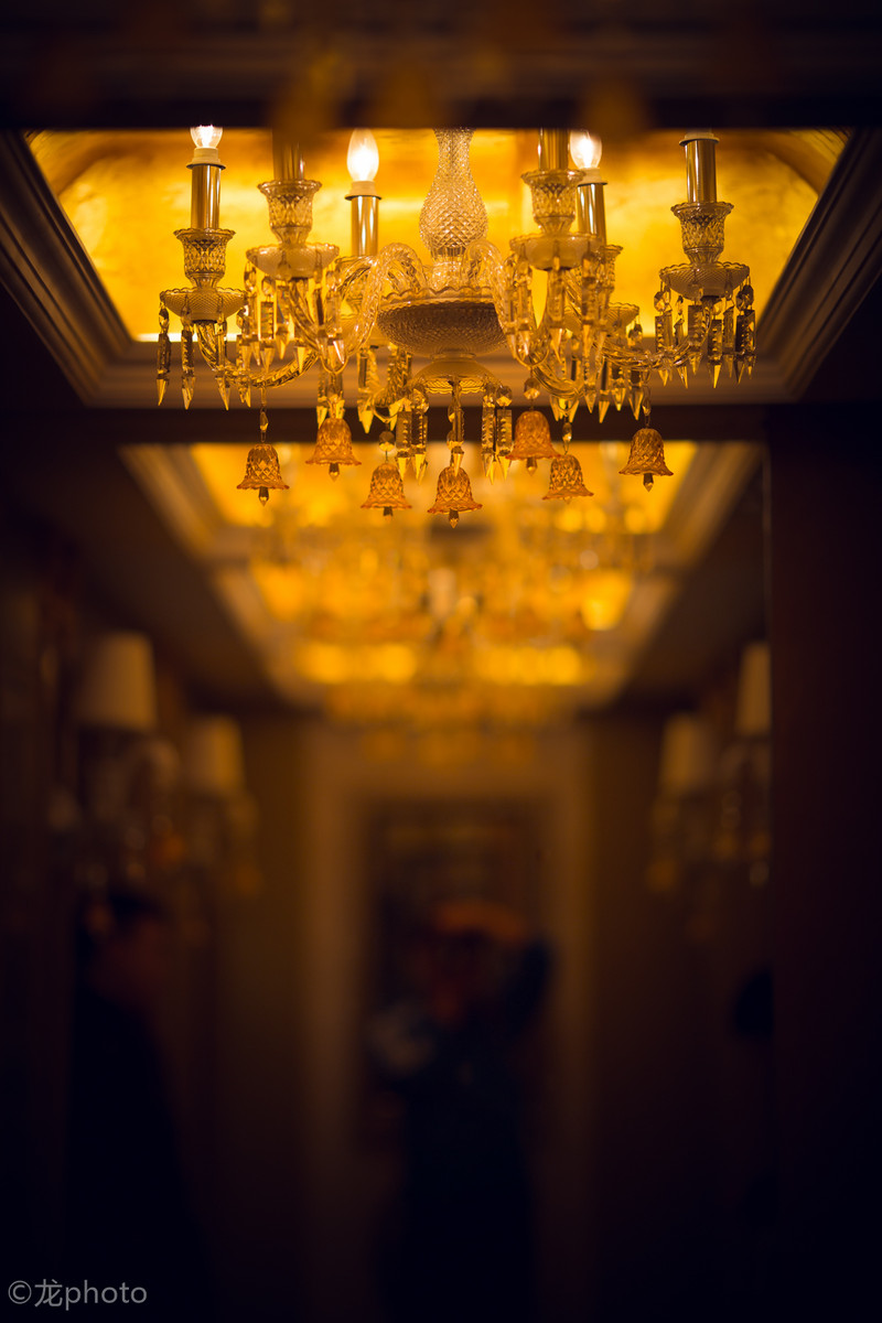 龙photo  《135L 练习贴 》