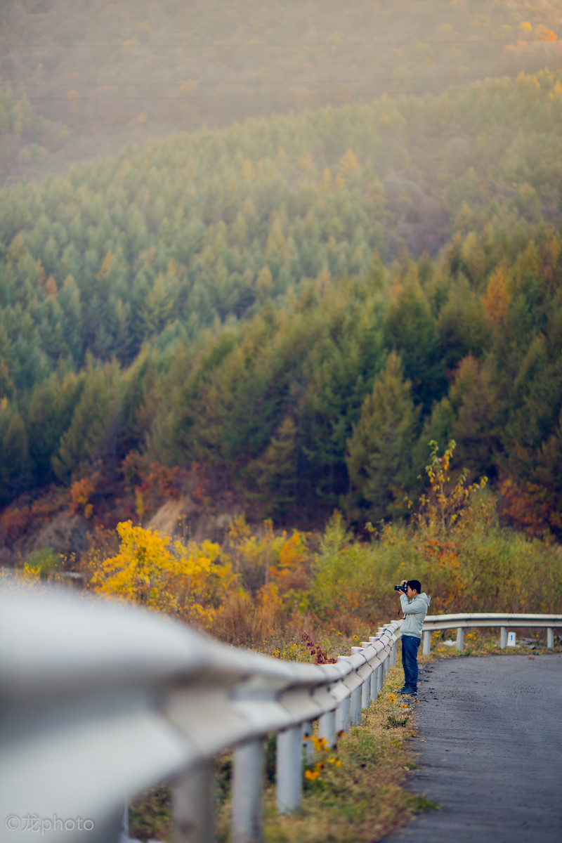 龙photo  《135L 练习贴 》