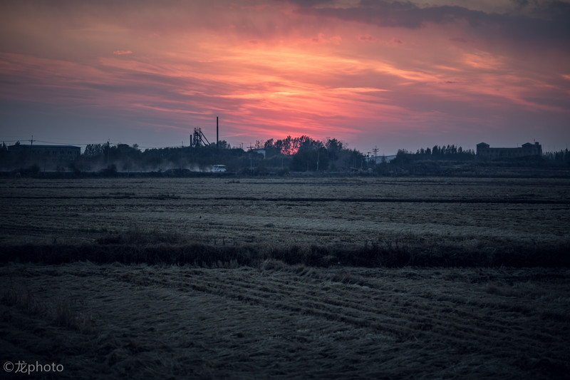 龙photo  《135L 练习贴 》