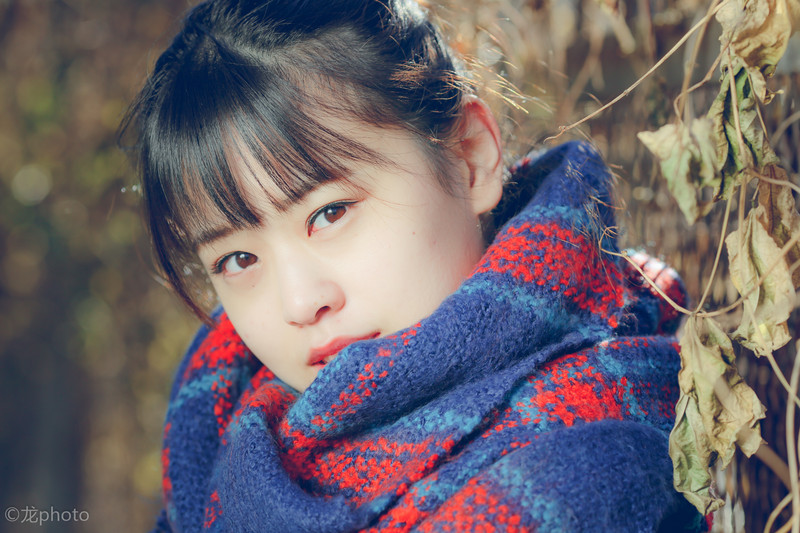 龙photo  《135L 练习贴 》