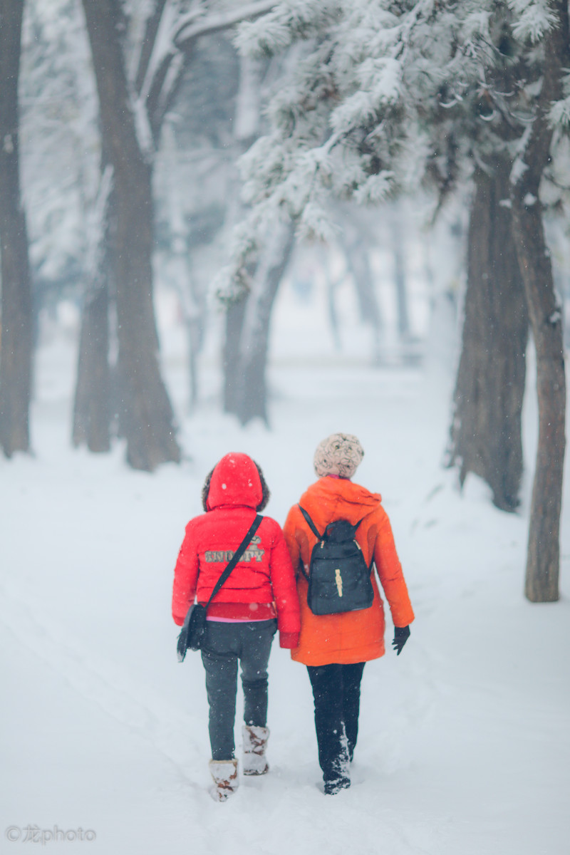 龙photo  《135L 练习贴 》