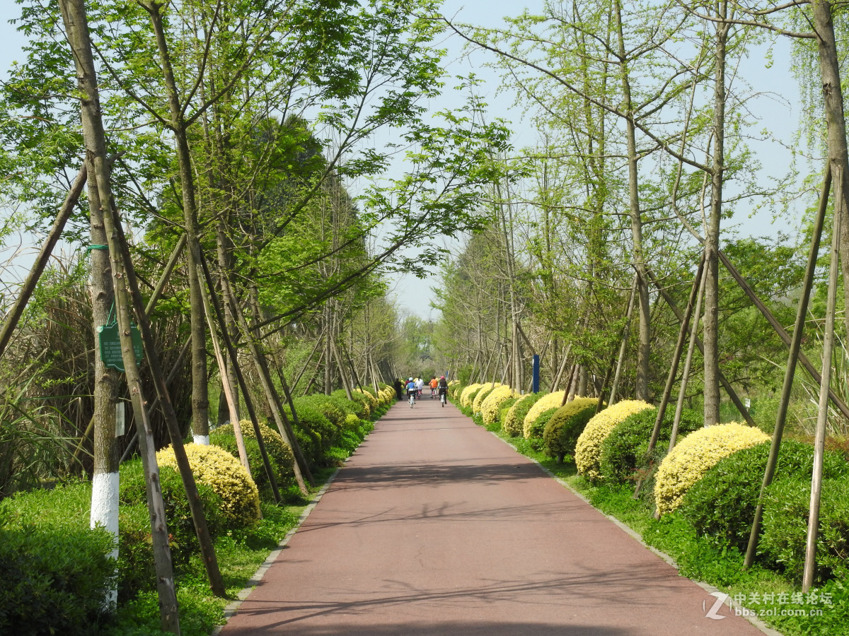 成都白鷺灣溼地公園