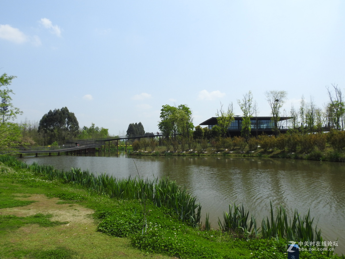 成都白鹭湾湿地公园