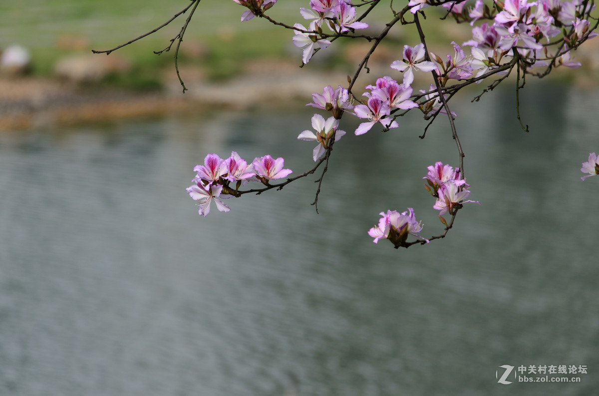 55-300有点冷，上张把图烘托下气氛，见笑！
