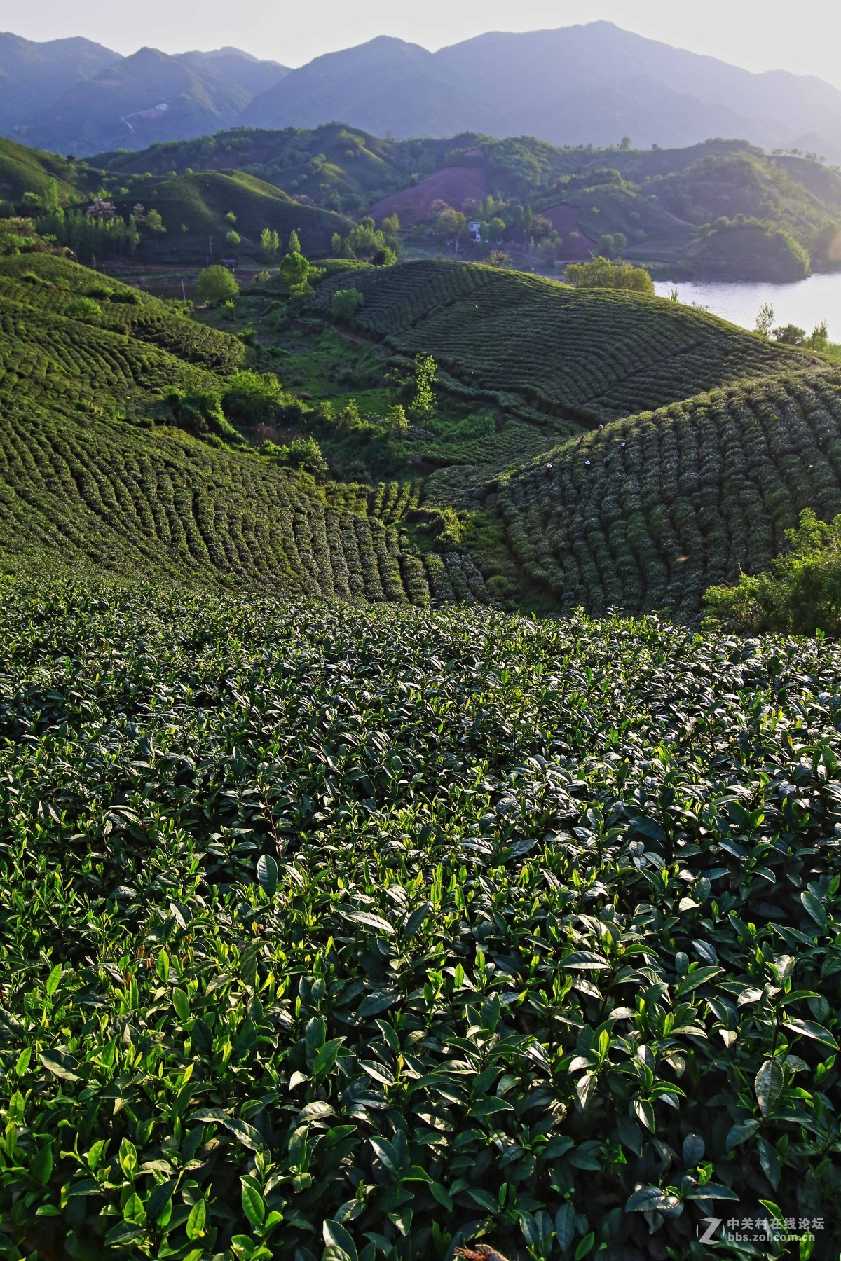 信阳浉河港风光