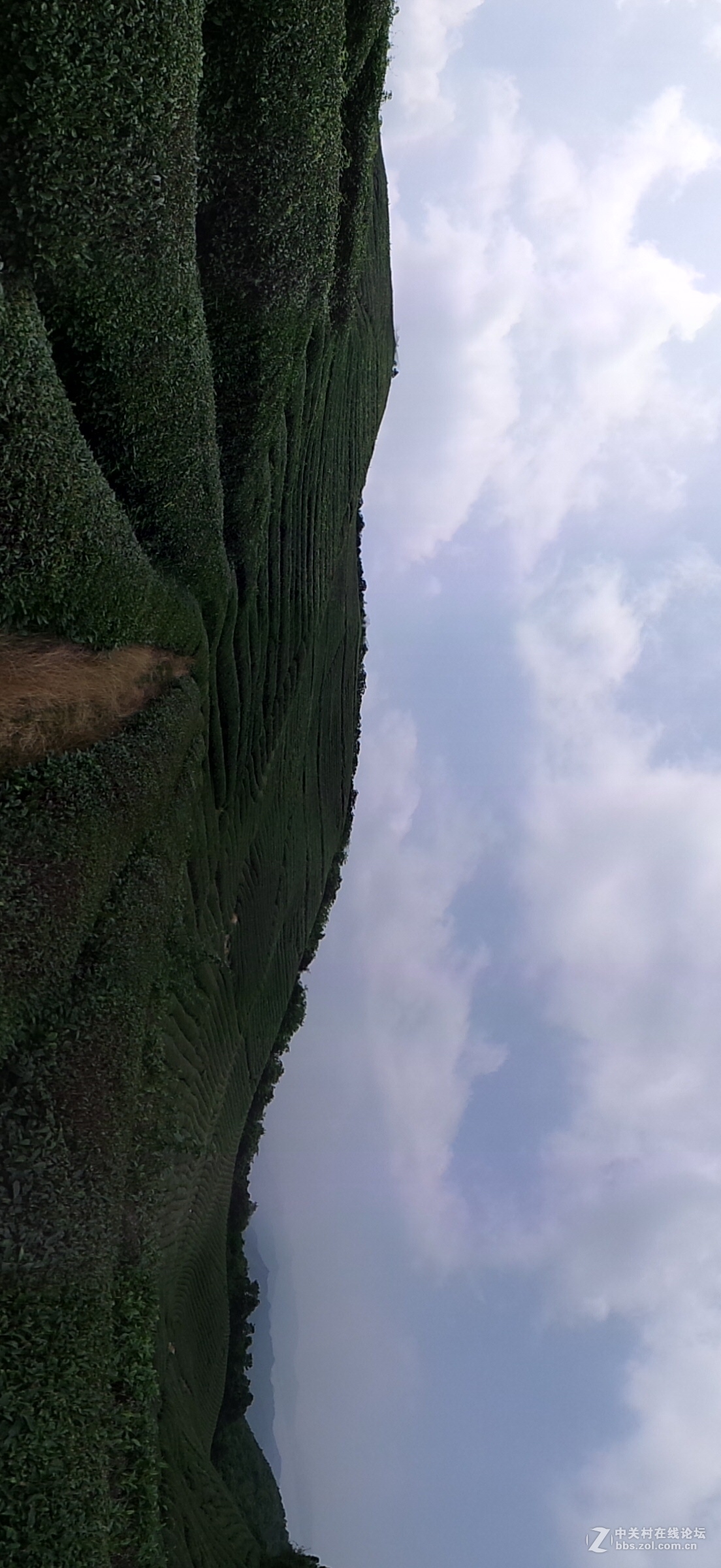 发几张GC100拍摄的也不比佳能坏