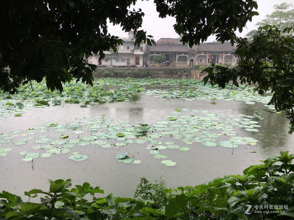 淅淅沥沥的塱头古村