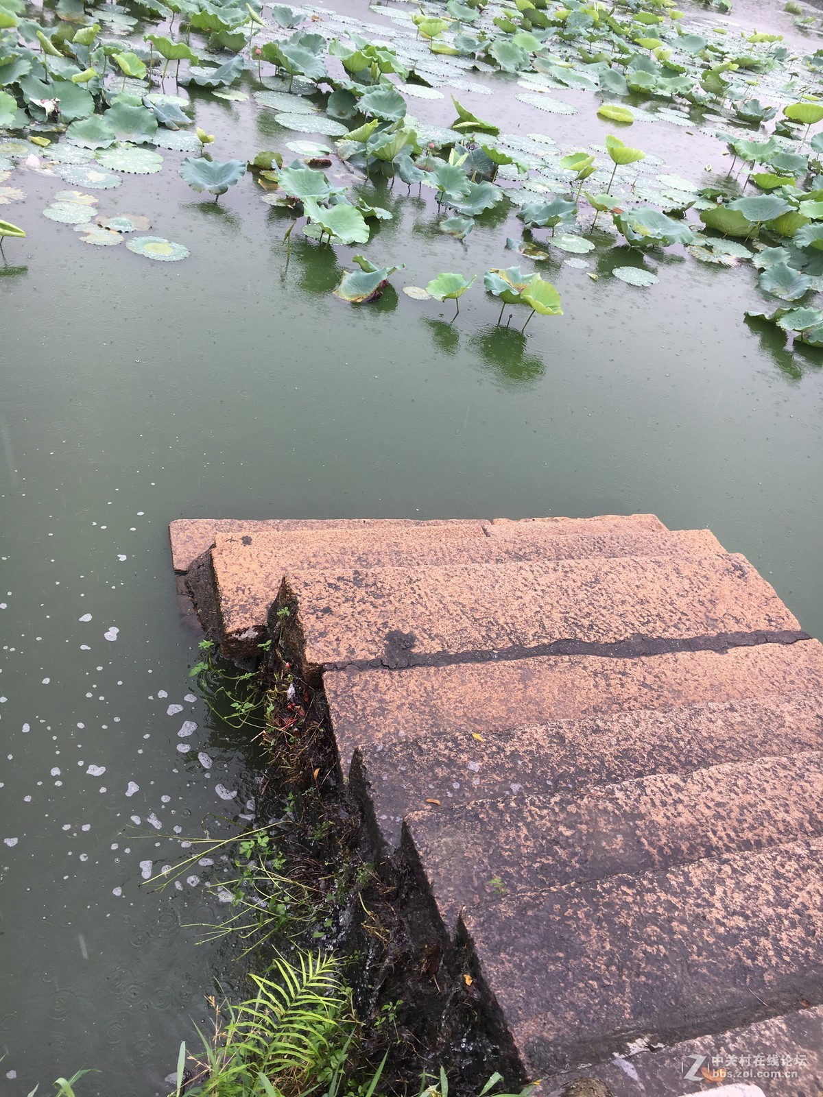 淅淅沥沥的塱头古村