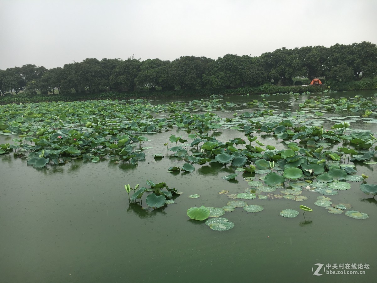 淅淅沥沥的塱头古村