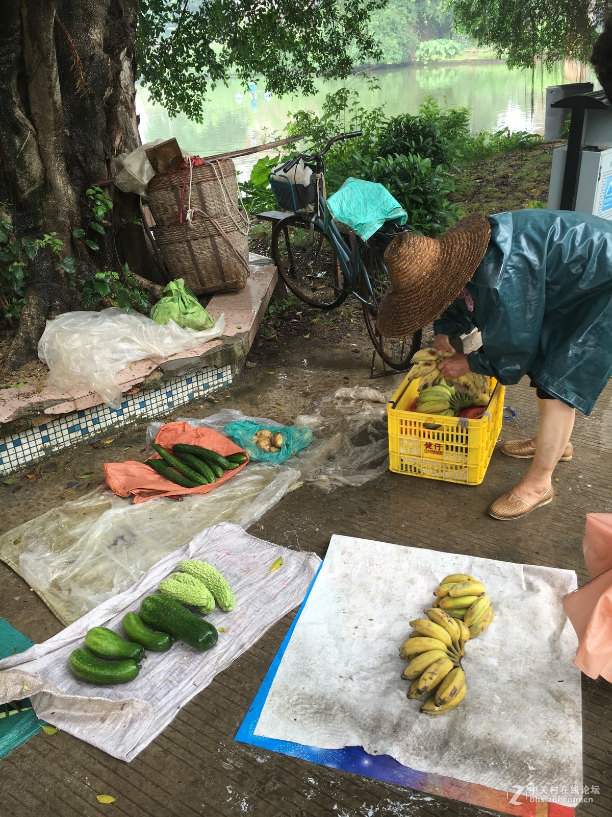 淅淅沥沥的塱头古村