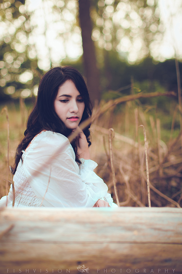 《浅秋》【菲希视觉作品】