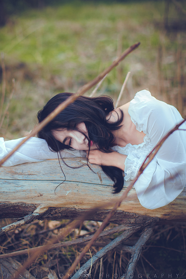 《浅秋》【菲希视觉作品】