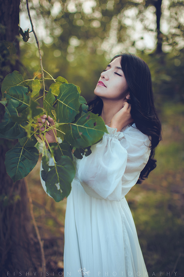 《浅秋》【菲希视觉作品】