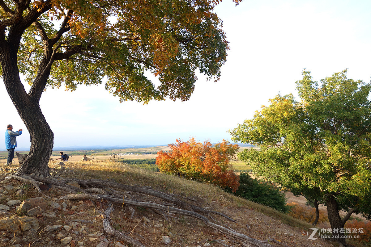 东北美景之草原、沙漠