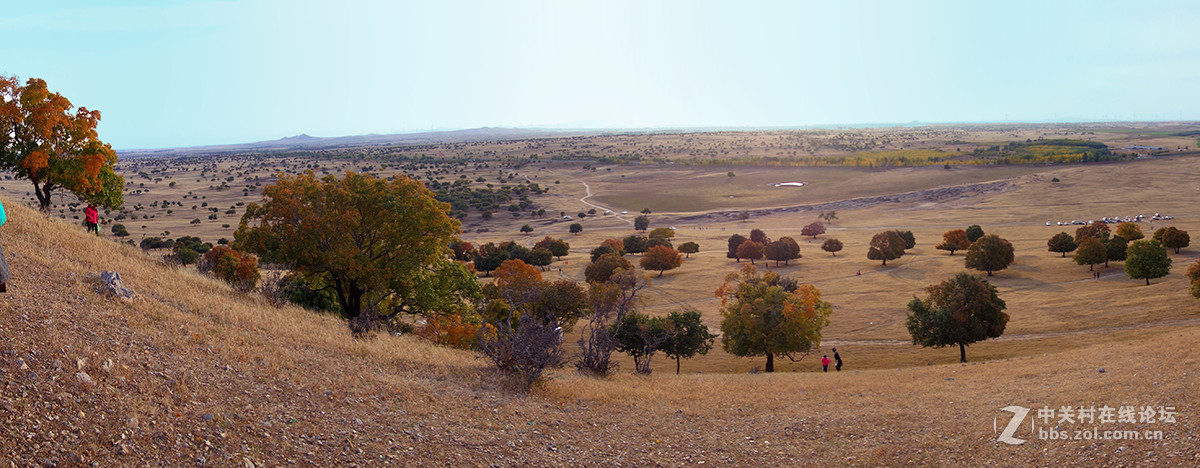 东北美景之草原、沙漠