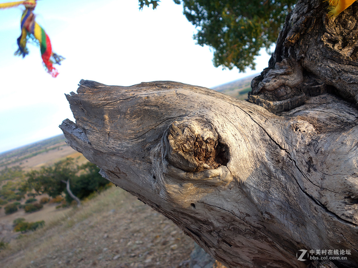 东北美景之草原、沙漠